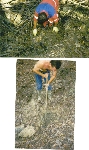 cliquez ici pour voir l'image (moteur97_1.jpg)