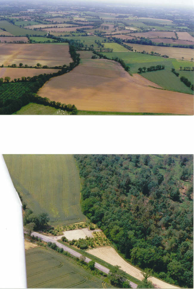 site3